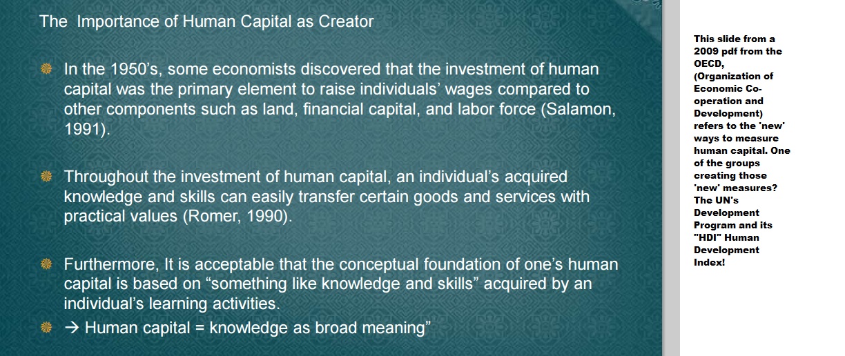 2009humancapital