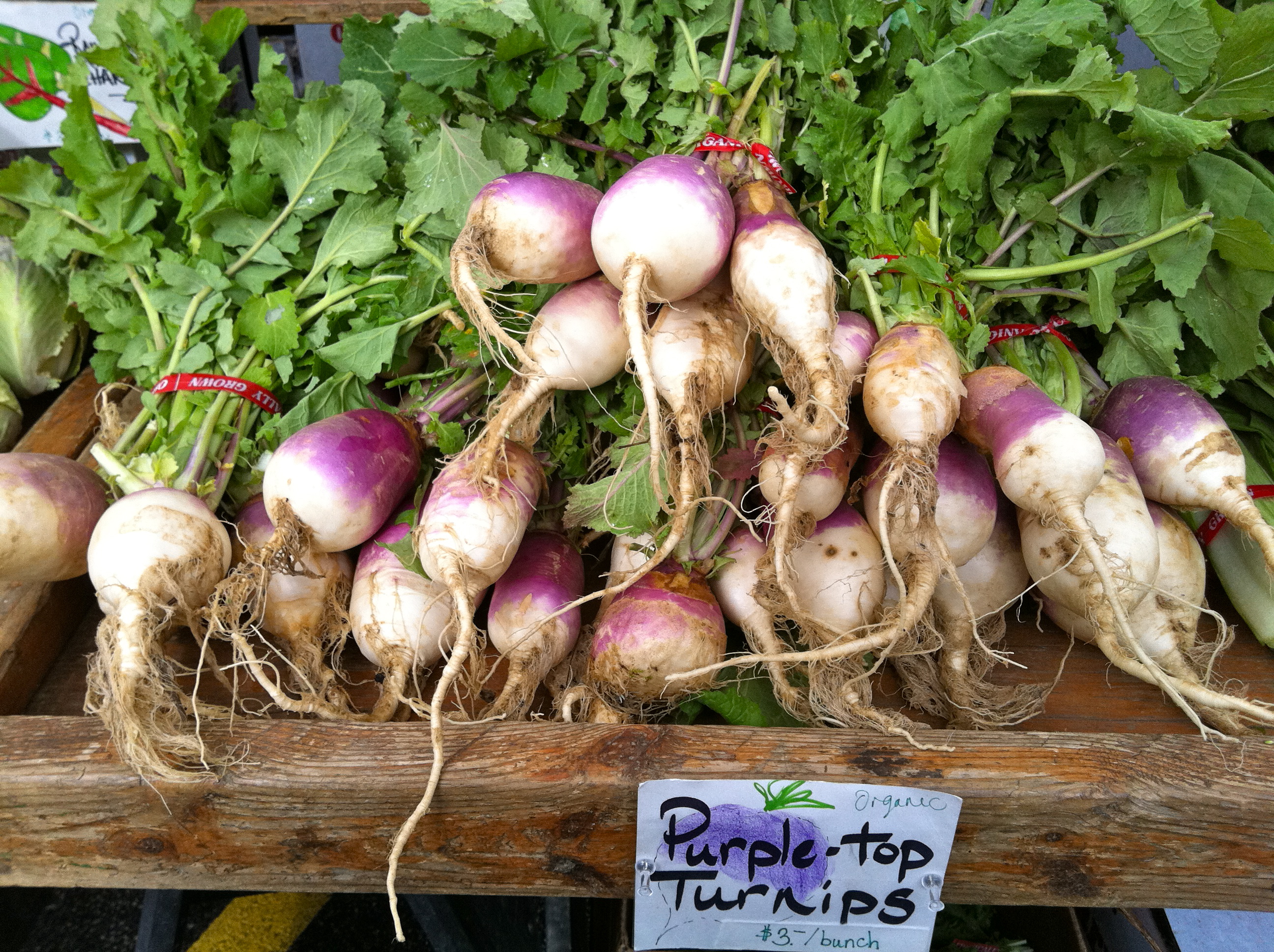 turnips_farmers_market