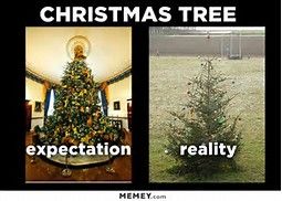 christmastreereality