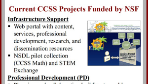 Current Nat'l Science Foundation work for CCSS includes professional development (for the teachers, leaders), infrastructure (computers, software), research (as in mind, education, etc.) and assessments (tests that measure)