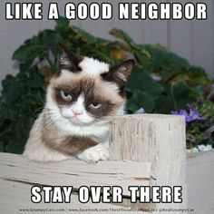 grumpycat